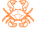 Cáncer